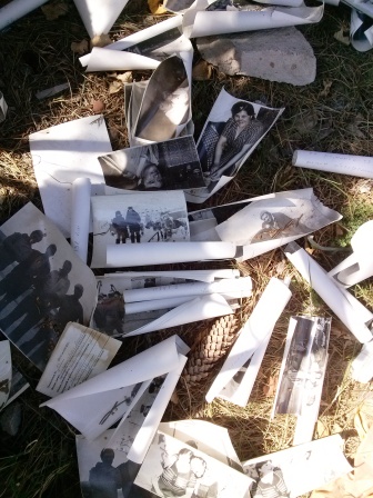 Photos retrieved by rescue workers from a residential building destroyed by shelling  in Nikolaevka, East Ukraine. Almost two months later, no one has collected them from the grass outside   